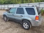 2007 Ford Escape XLT