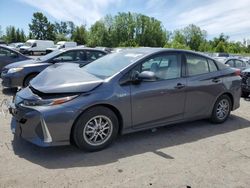 Toyota Prius Prime salvage cars for sale: 2017 Toyota Prius Prime