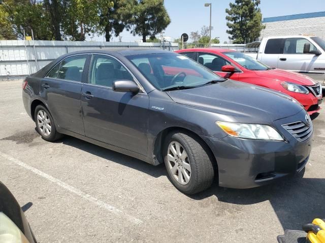 2009 Toyota Camry Hybrid