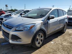 Salvage cars for sale at Dyer, IN auction: 2016 Ford Escape SE