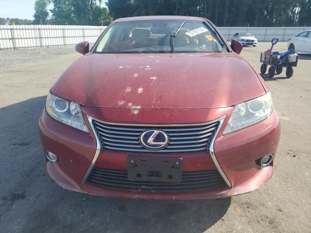 2013 Lexus ES 300H