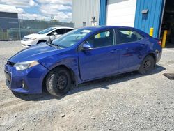 Toyota Corolla l salvage cars for sale: 2016 Toyota Corolla L