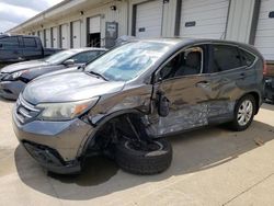 Salvage cars for sale at Louisville, KY auction: 2014 Honda CR-V EX