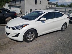 Salvage cars for sale at York Haven, PA auction: 2014 Hyundai Elantra SE