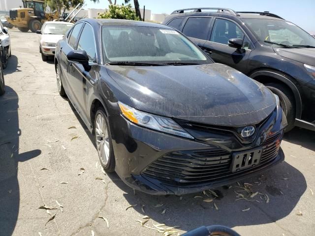 2019 Toyota Camry Hybrid