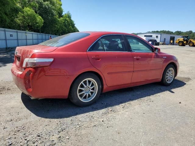 2009 Toyota Camry Hybrid