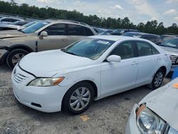Salvage cars for sale at Jacksonville, FL auction: 2009 Toyota Camry Base