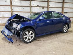 Toyota Vehiculos salvage en venta: 2007 Toyota Camry LE