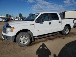 Salvage cars for sale from Copart Rocky View County, AB: 2012 Ford F150 Supercrew