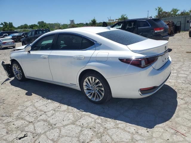 2019 Lexus ES 300H