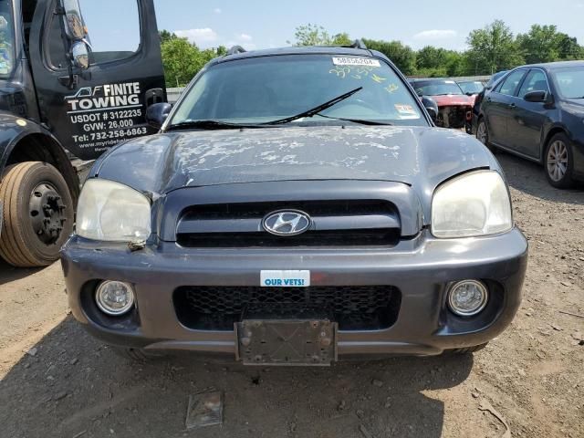 2006 Hyundai Santa FE GLS