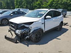 Salvage cars for sale at Glassboro, NJ auction: 2018 Ford Escape SEL