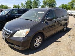 Salvage cars for sale at Elgin, IL auction: 2006 Honda Odyssey EXL