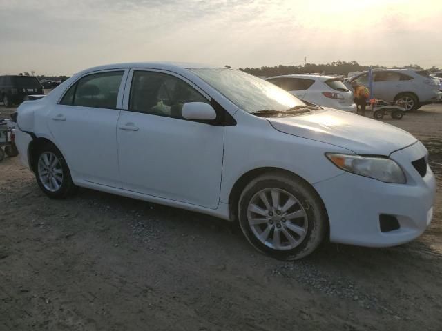 2009 Toyota Corolla Base