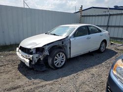 Lexus salvage cars for sale: 2011 Lexus ES 350