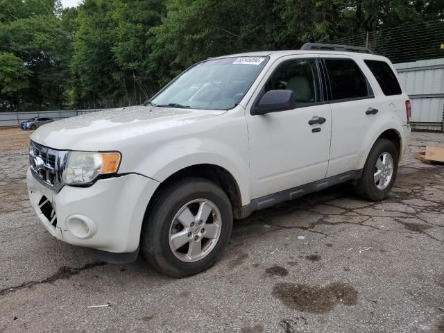 2011 Ford Escape XLT