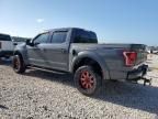 2020 Ford F150 Raptor