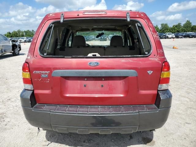 2006 Ford Escape XLT