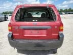 2006 Ford Escape XLT