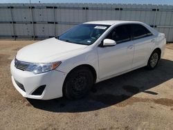 Salvage cars for sale from Copart Amarillo, TX: 2013 Toyota Camry L