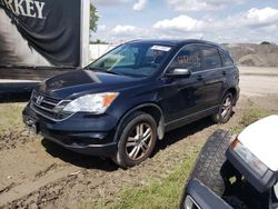 Salvage cars for sale at Cicero, IN auction: 2011 Honda CR-V EX