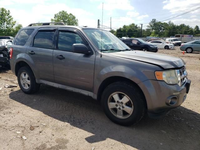 2009 Ford Escape XLT