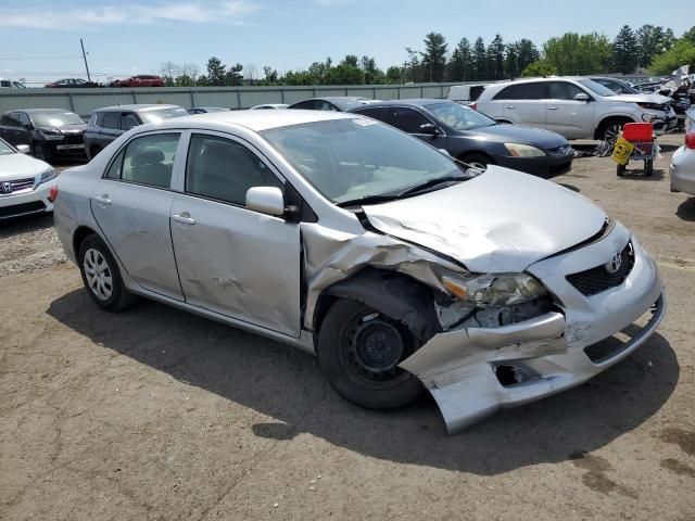 2010 Toyota Corolla Base