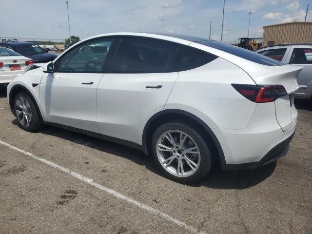 2020 Tesla Model Y