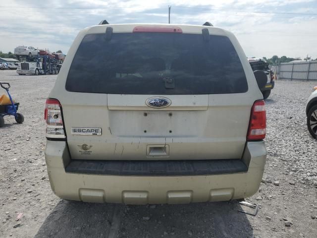 2010 Ford Escape XLT