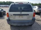 2006 Ford Escape XLT