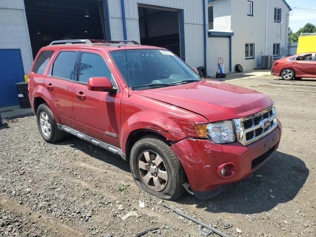 2011 Ford Escape Limited