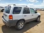 2007 Ford Escape XLT