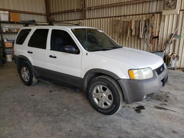 2002 Ford Escape XLT