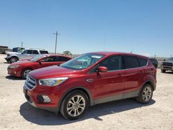 Ford salvage cars for sale: 2019 Ford Escape SE