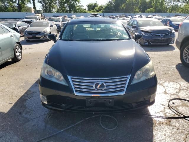 2010 Lexus ES 350