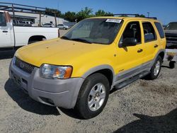 Ford Vehiculos salvage en venta: 2002 Ford Escape XLT