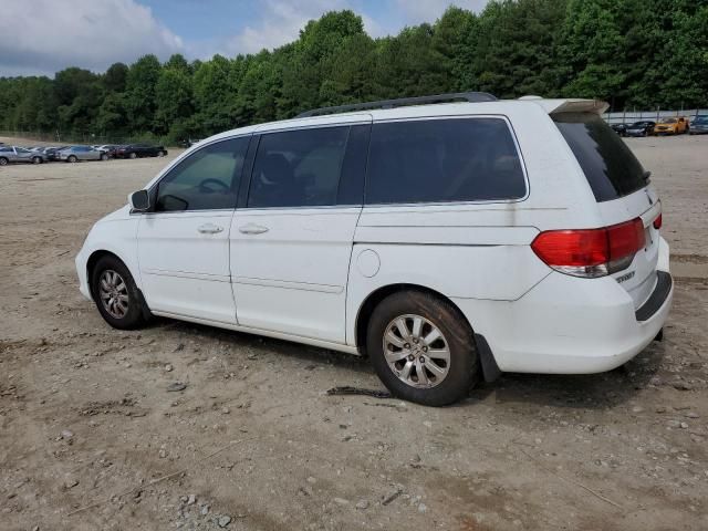 2009 Honda Odyssey EXL