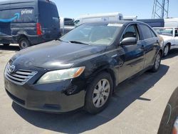 Salvage cars for sale at Hayward, CA auction: 2008 Toyota Camry Hybrid