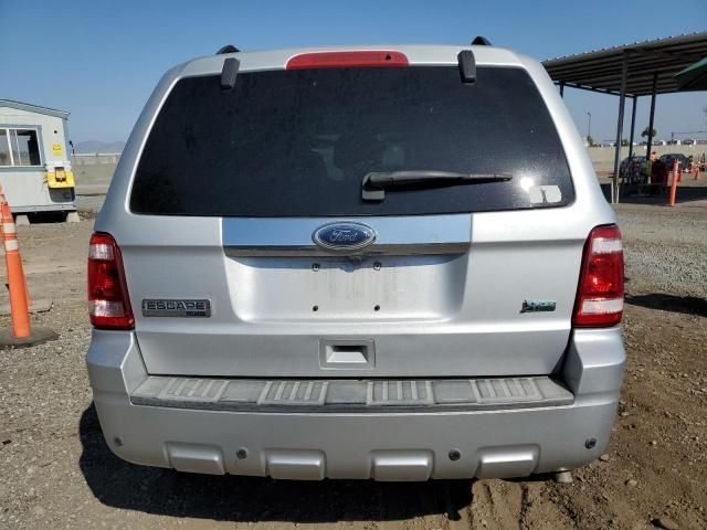 2011 Ford Escape Limited