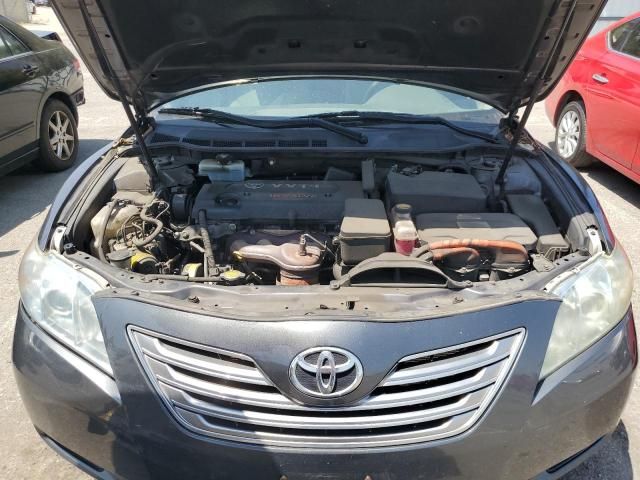 2009 Toyota Camry Hybrid