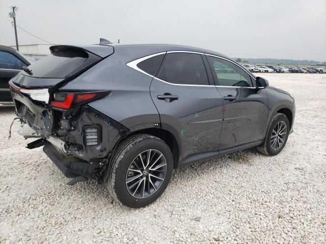 2024 Lexus NX 250 Premium