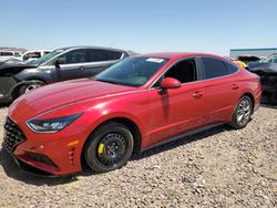 Vehiculos salvage en venta de Copart Phoenix, AZ: 2021 Hyundai Sonata SEL