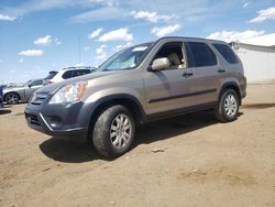 Salvage cars for sale at Brighton, CO auction: 2006 Honda CR-V EX