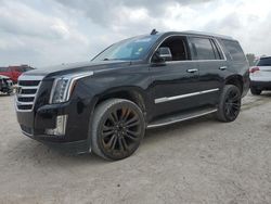 Flood-damaged cars for sale at auction: 2017 Cadillac Escalade Luxury