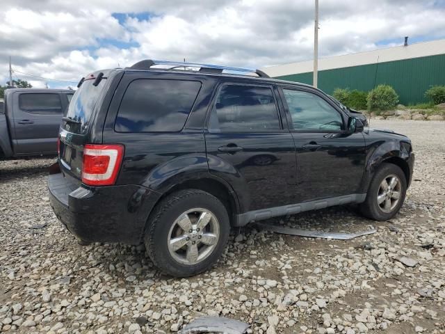 2010 Ford Escape Limited