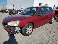 Chevrolet Malibu Vehiculos salvage en venta: 2004 Chevrolet Malibu Maxx LT