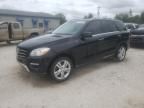 2015 Mercedes-Benz ML 350