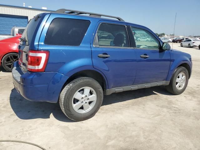 2008 Ford Escape XLT