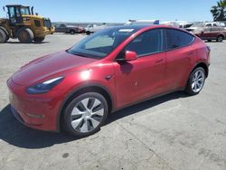 2024 Tesla Model Y en venta en Martinez, CA