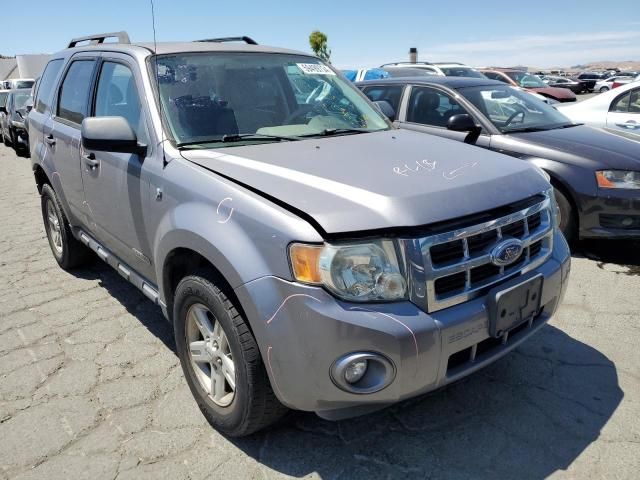 2008 Ford Escape HEV